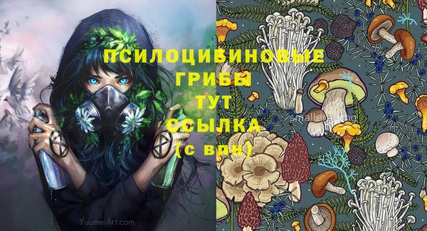 винт Алексеевка
