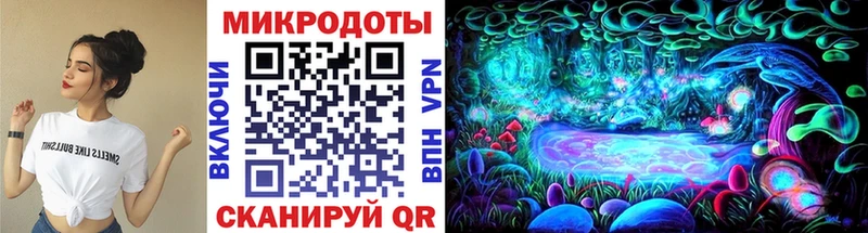 Псилоцибиновые грибы Psilocybe  Катав-Ивановск 